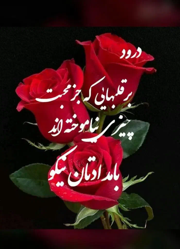 معلم خصوصی|خدمات آموزشی|اراک, |دیوار