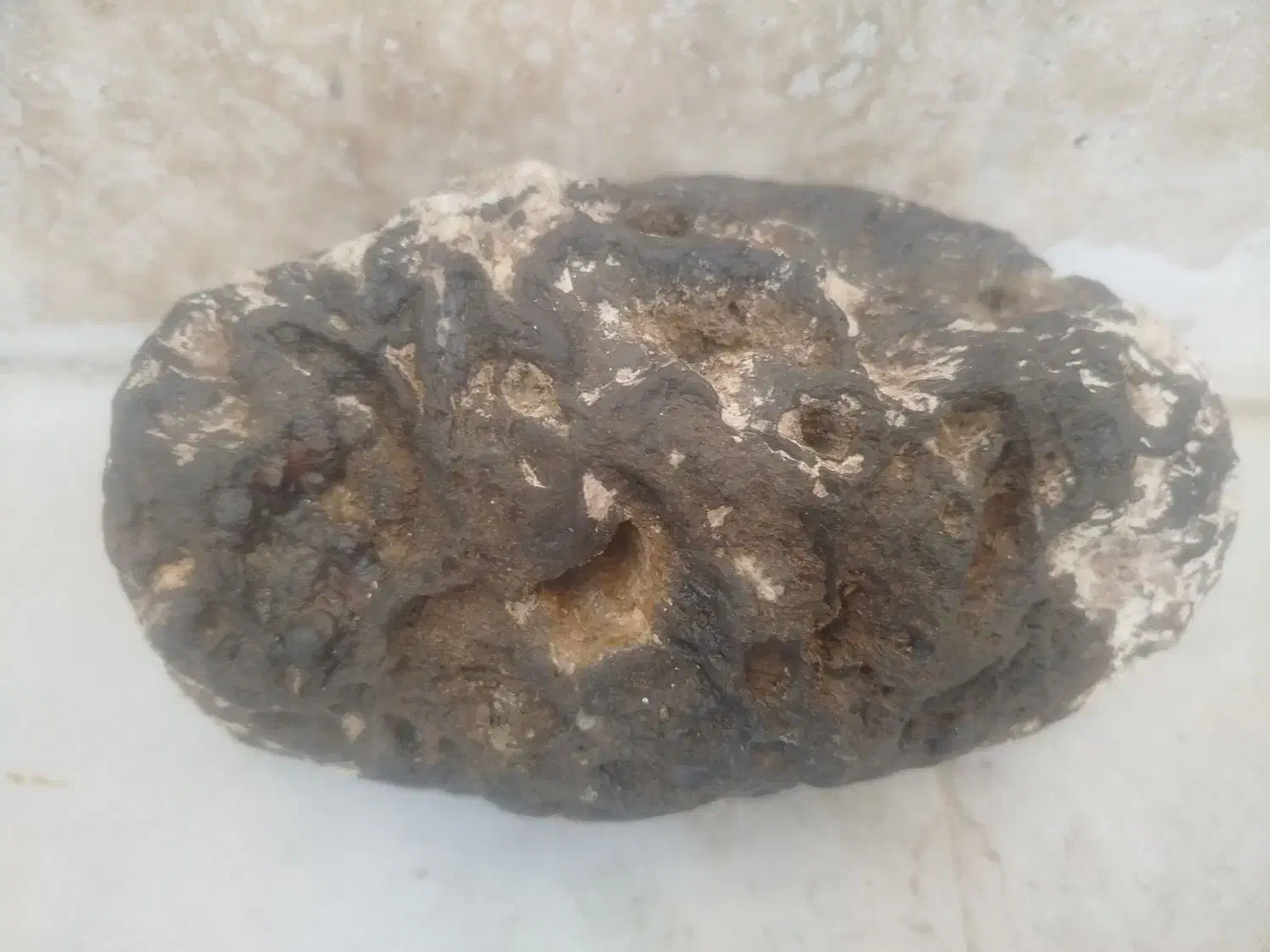 شهاب سنگ|کلکسیون اشیاء عتیقه|مشهد, الهیه|دیوار