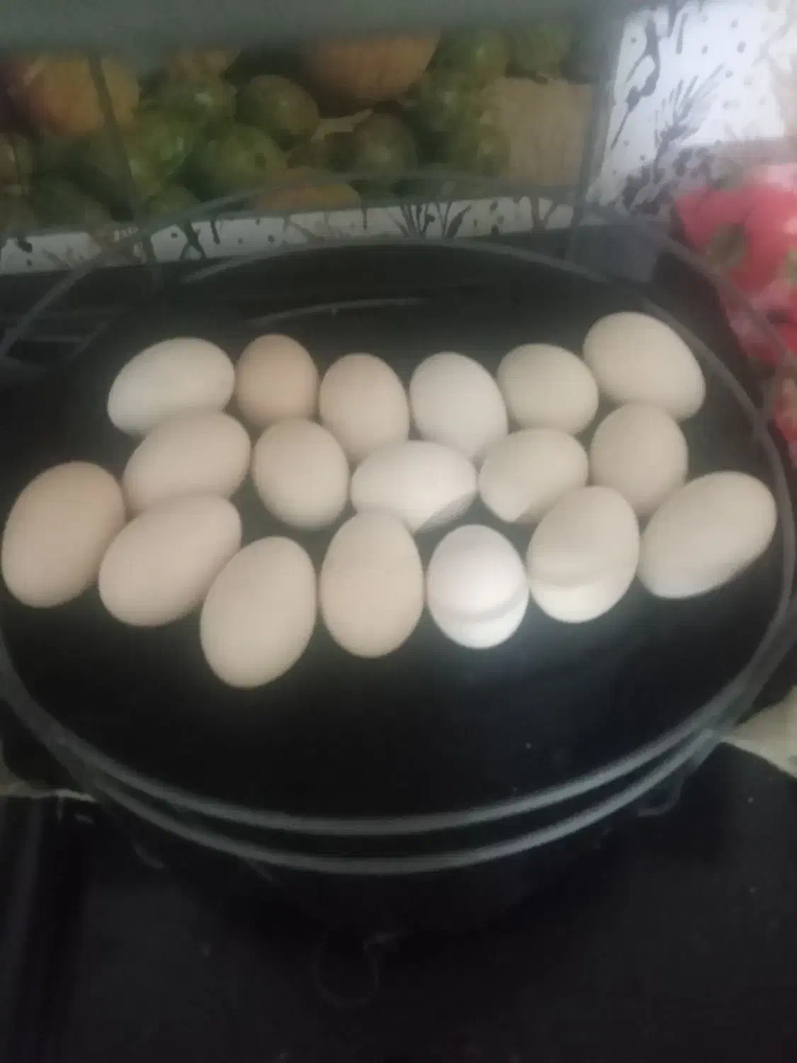 تخم مرغ گلین اصل تازه|خوردنی و آشامیدنی|کهنوج, |دیوار