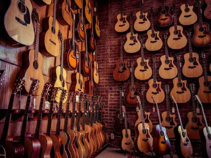 گیتار معتبرترین برندها/-|گیتار، بیس، امپلیفایر|مشهد, ولیعصر (شهرک غرب)|دیوار