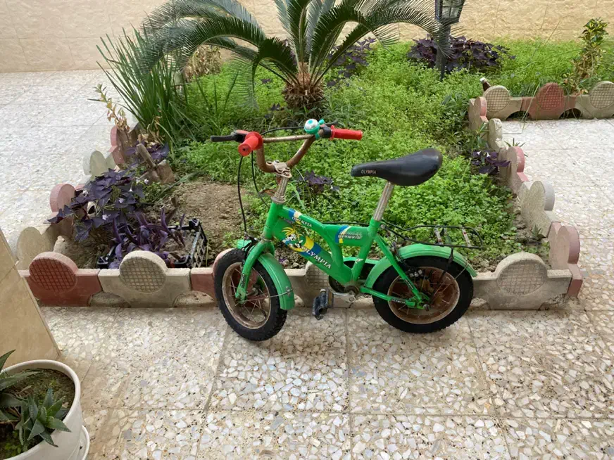 دوچرخه بچه گانه|دوچرخه، اسکیت، اسکوتر|امیرکلا, |دیوار