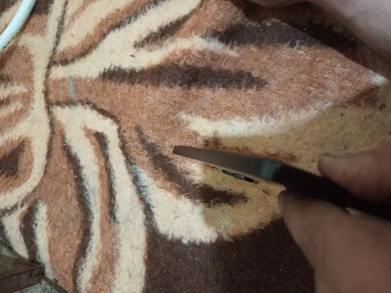 شیامی نوت 13|موبایل|تبریز, |دیوار