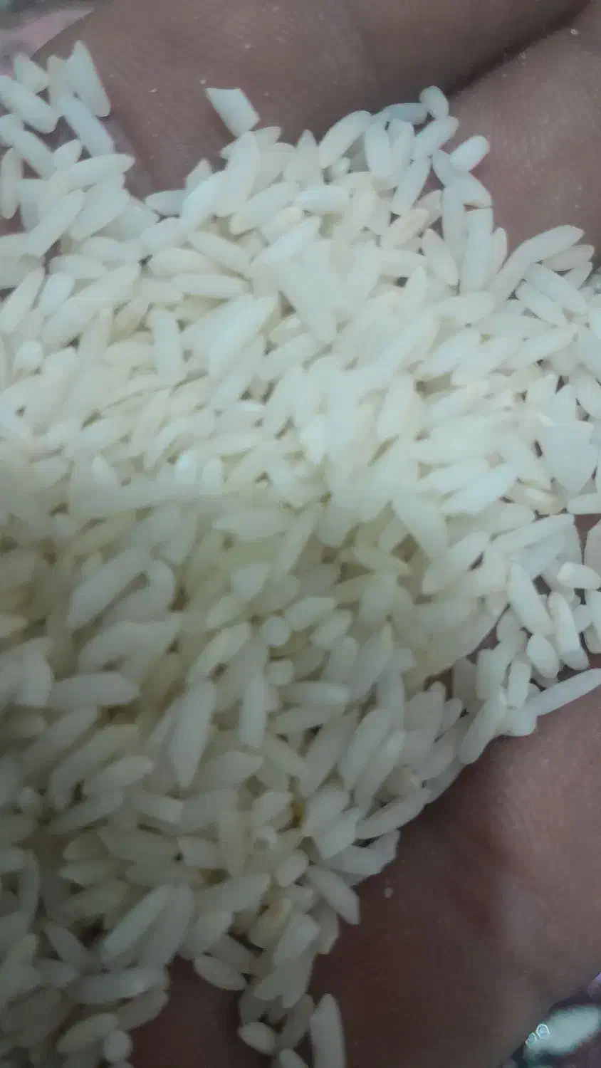 سلام فروش یک تن ونیم برنج پبش فروش|خوردنی و آشامیدنی|دورود, |دیوار