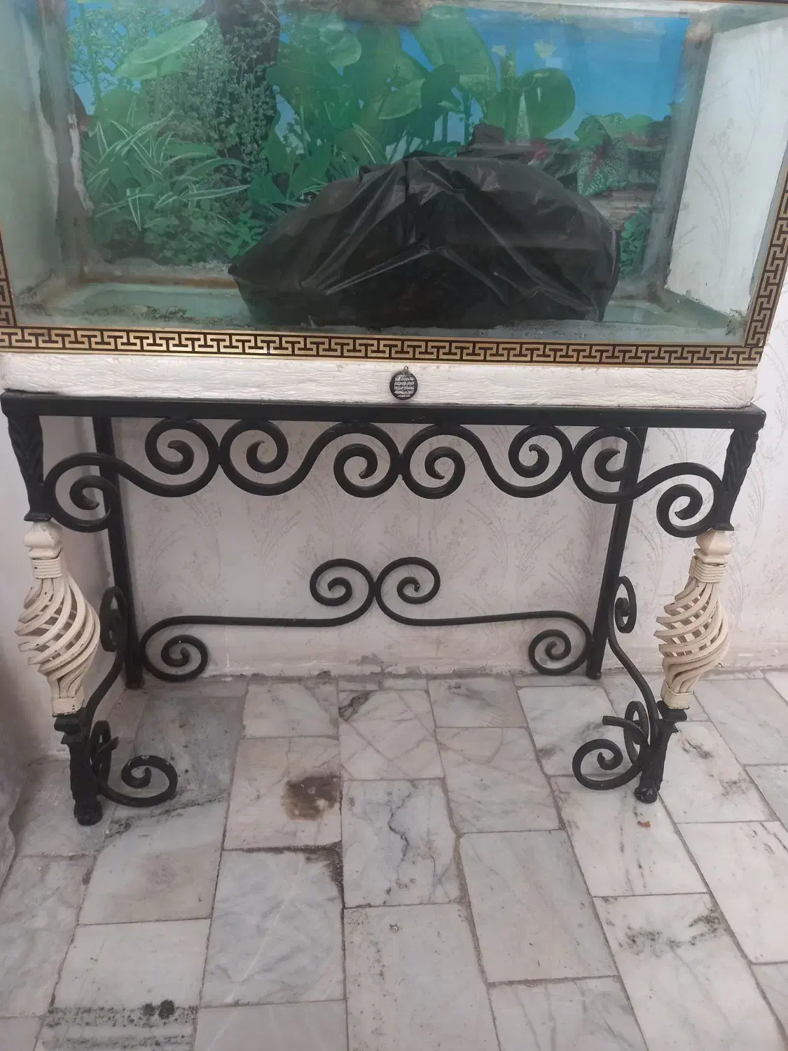 اگواریم|ماهی|پاکدشت, پاکدشت (مامازند)|دیوار