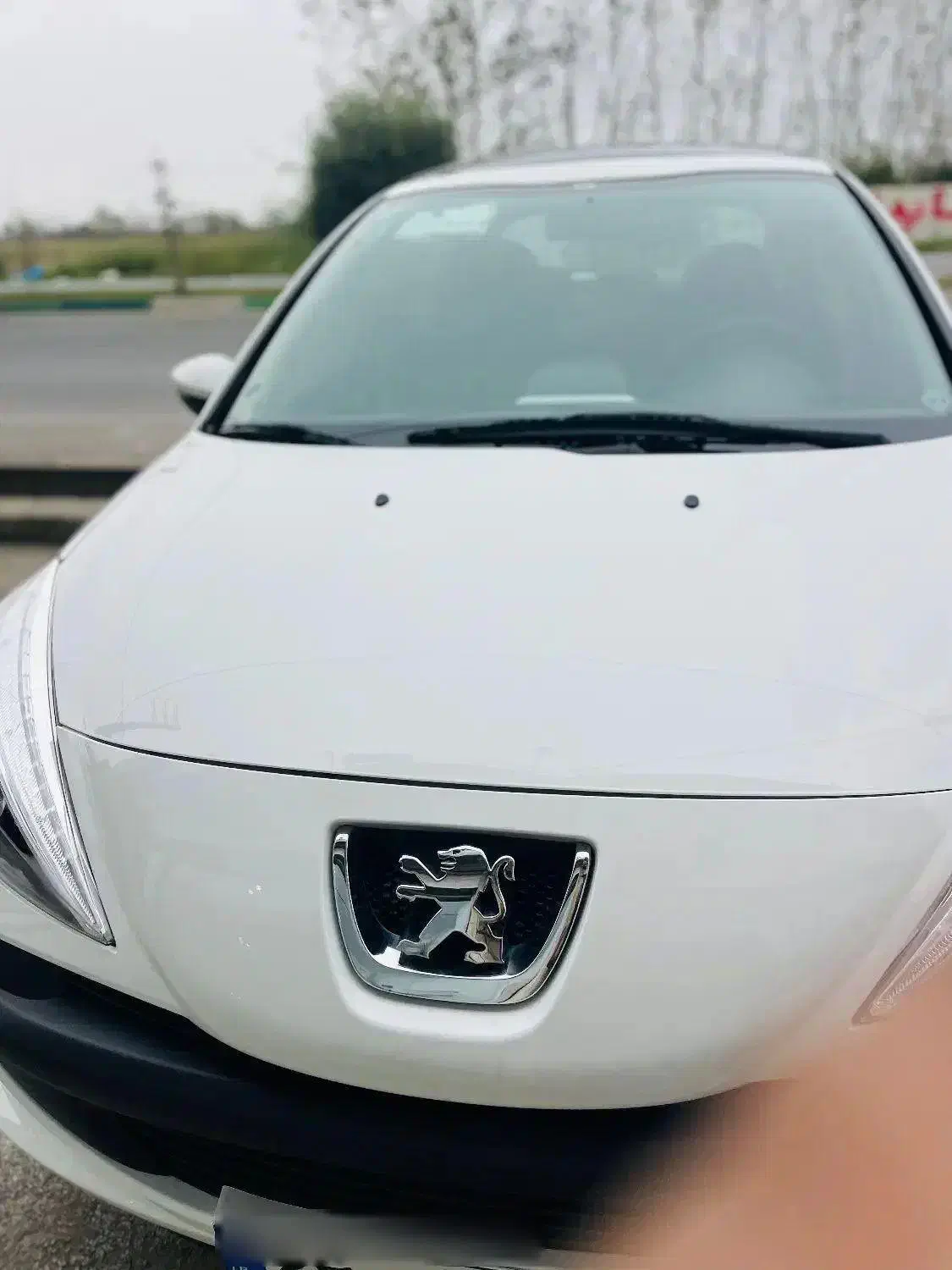 207 پانا سفارشی لا کاغذی فول آپشن|خودرو سواری و وانت|محمودآباد, |دیوار