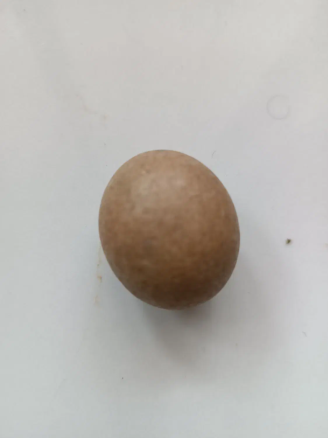 سنگ قیمتی|کلکسیون اشیاء عتیقه|شاندیز, |دیوار