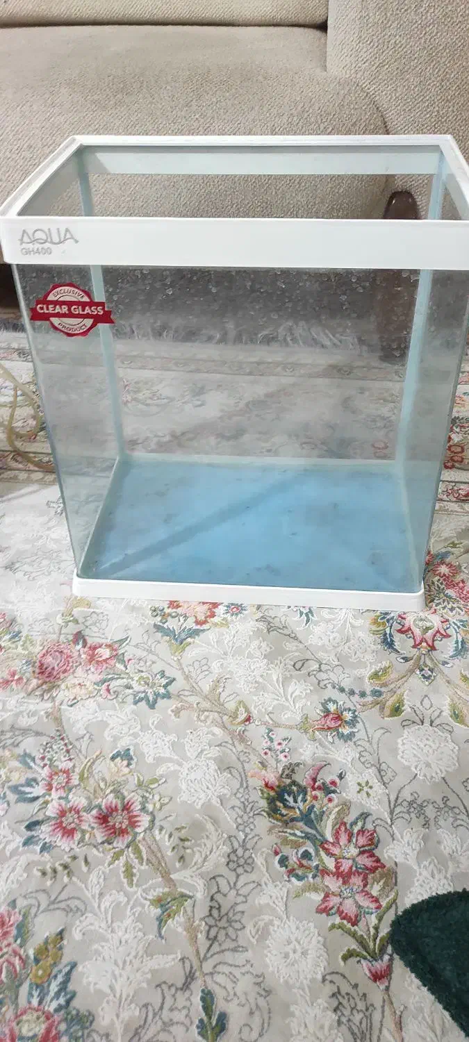 آکواریوم|ماهی|تهران, مسعودیه|دیوار