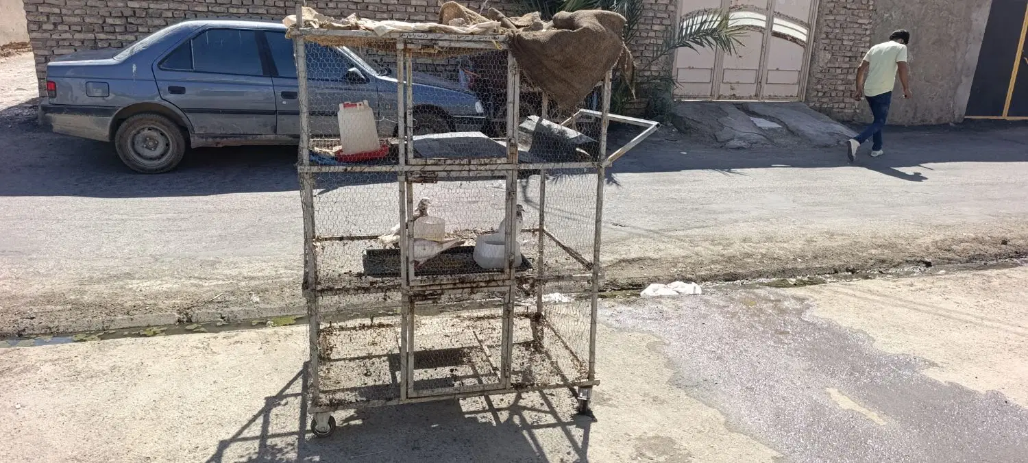 گاری|ابزارآلات|زابل, |دیوار