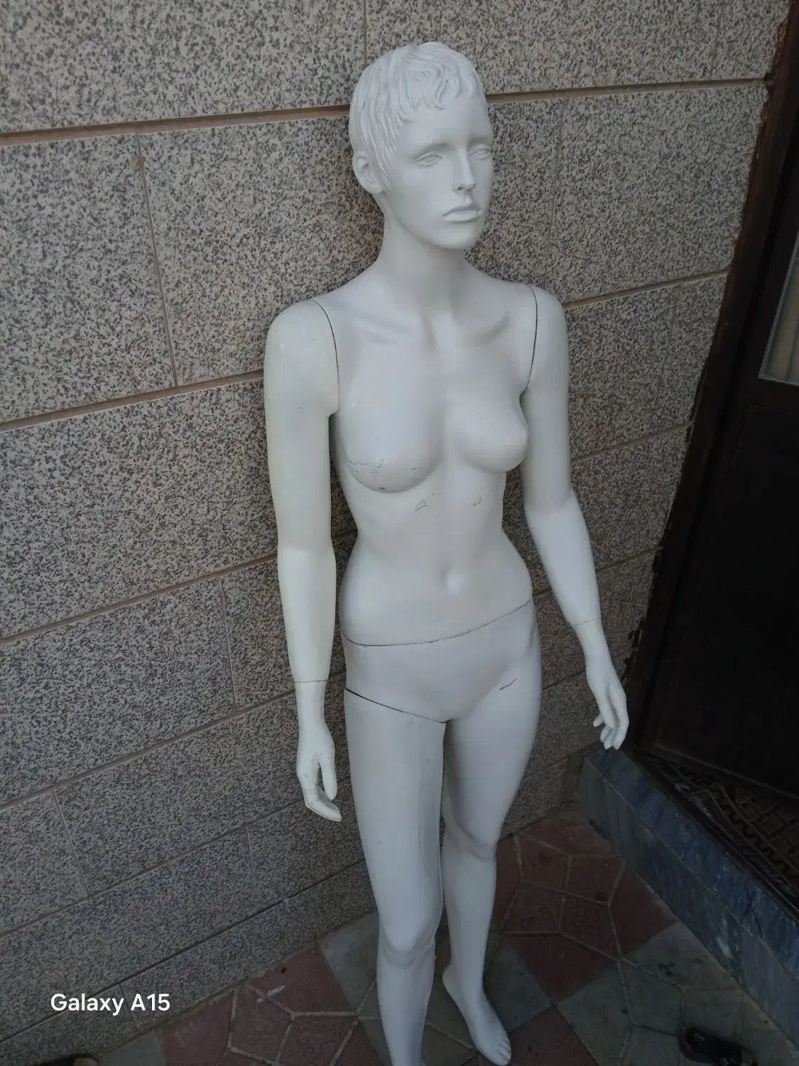 مانکن|فروشگاه و مغازه|بیرجند, |دیوار