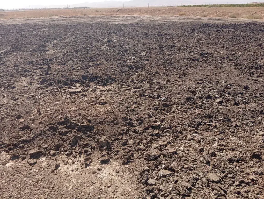 کود مرغی قفسی تخمگذار|خدمات باغبانی و درختکاری|خرمدره, |دیوار