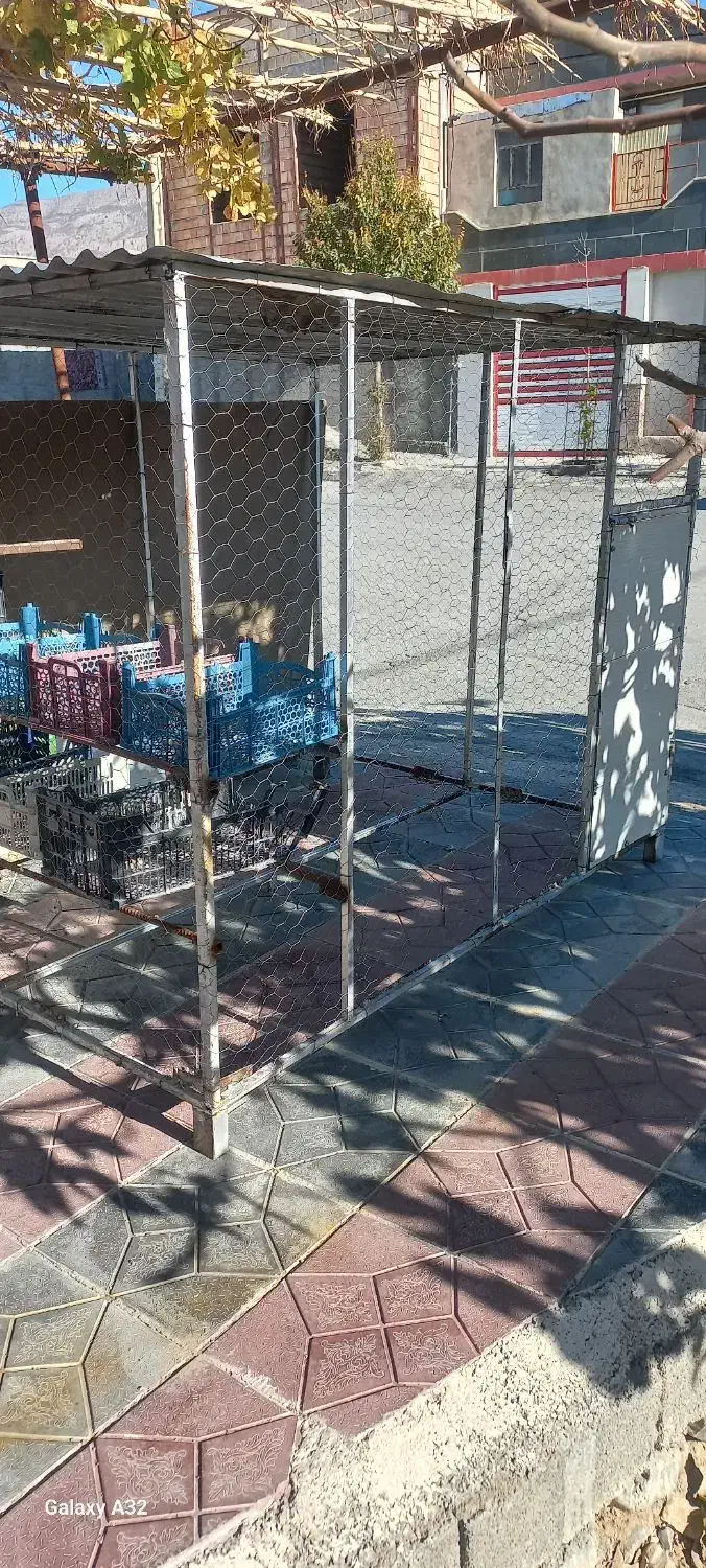 قفس بزرگ|لوازم جانبی حیوانات|ملکشاهی, |دیوار