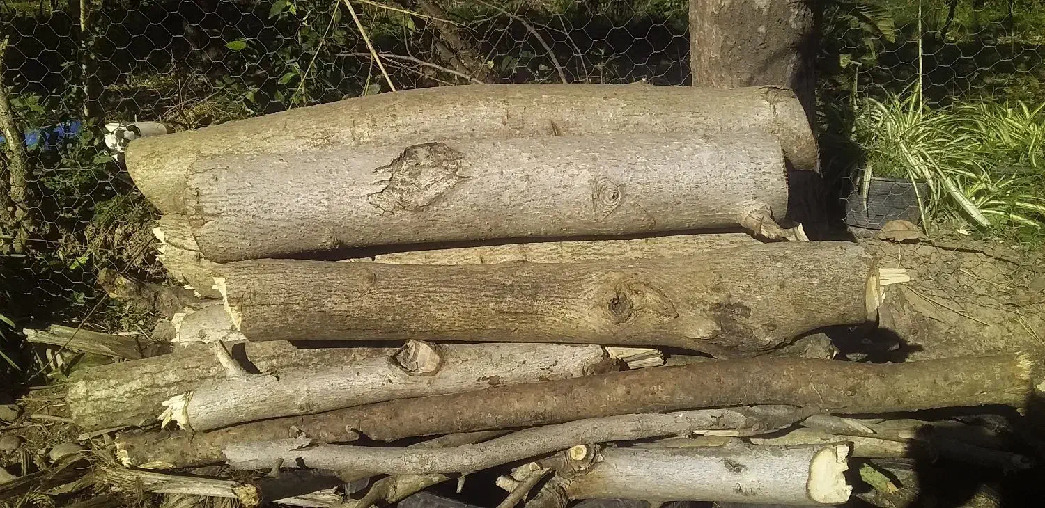 هیزم|لوازم نظافت|سنگر, |دیوار