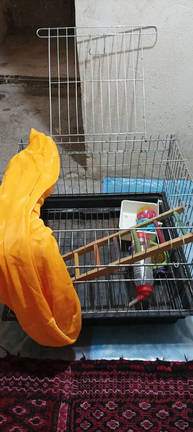 قفس خوکچه و خرگوش|لوازم جانبی حیوانات|تهران, سبلان (لشگر)|دیوار