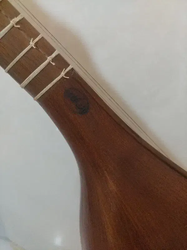 سه تار هاتف ملکشاهی دومهر-کاملا نو همراه هارد کیس|سازهای سنتی|ساری, |دیوار