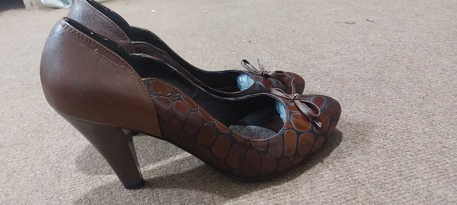 فروش کفش مجلسی و طبی فریدونکنار زیر قیمت|کیف، کفش، کمربند|فریدون‌کنار, |دیوار