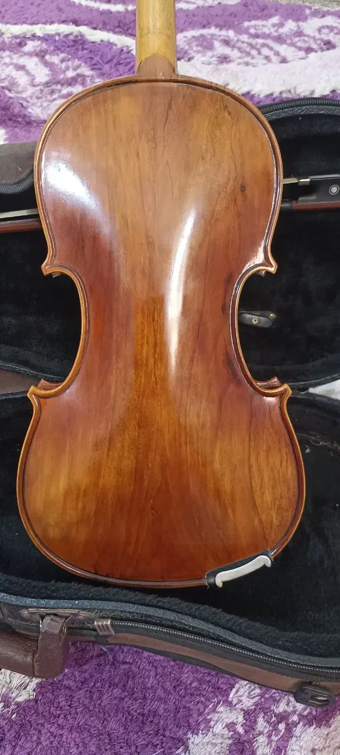 ویولن دست ساز حرفه ای|ویولن|لاهیجان, لیالستان|دیوار