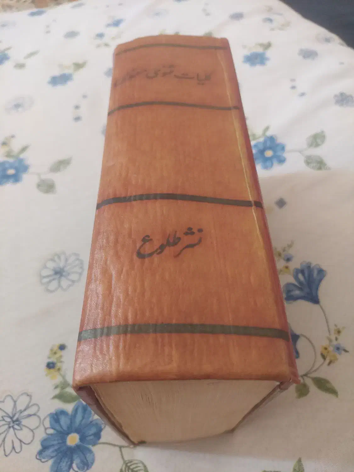 کلیات مثنوی معنوی|کتاب و مجله ادبی|جهرم, |دیوار