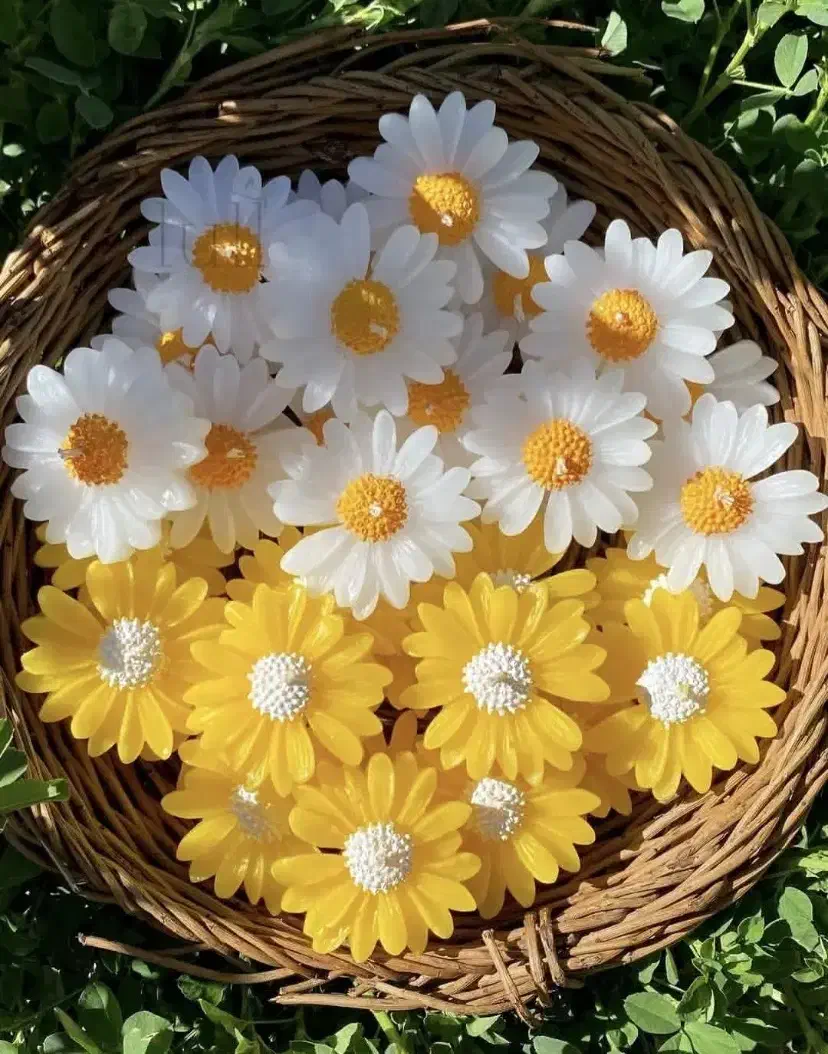 گیفت ویادگاری|زیورآلات و اکسسوری|مشهد, ایثارگران|دیوار