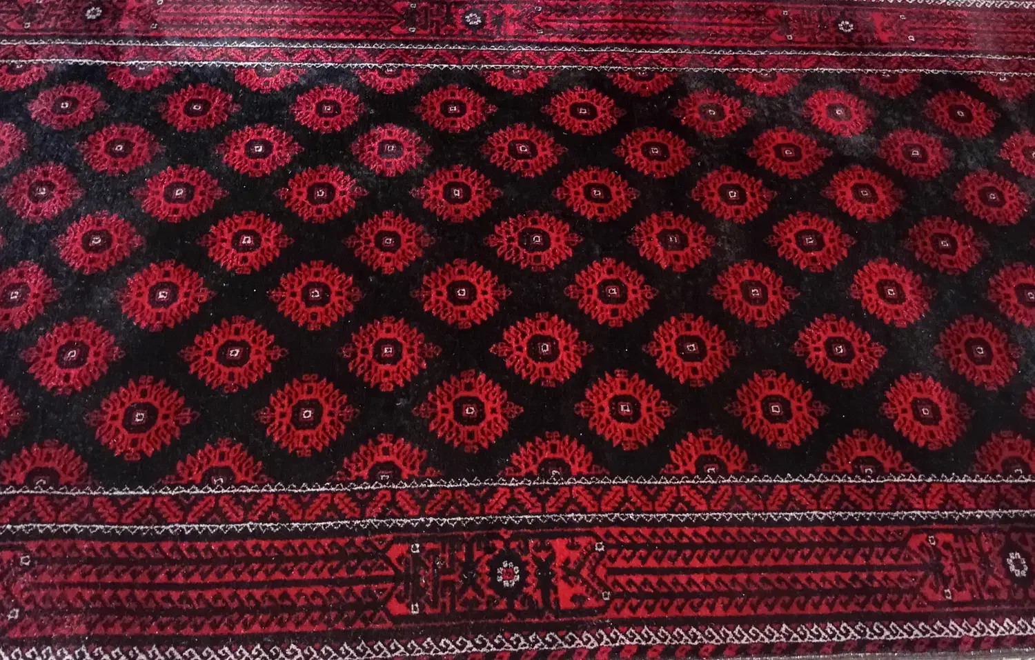 قالی دست بافت|فرش|گناباد, |دیوار