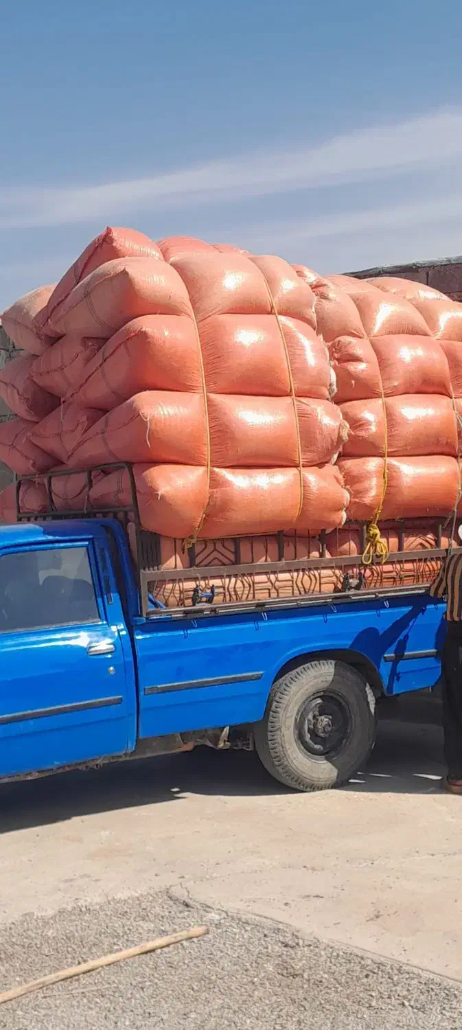 کاه درجه ۱|لوازم جانبی حیوانات|لالی, |دیوار