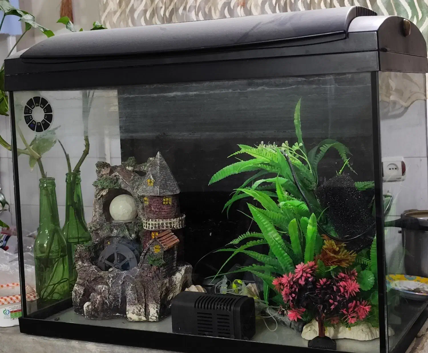 آکواریوم شرکتی با وسایل|ماهی|محمدیه-قزوین, |دیوار