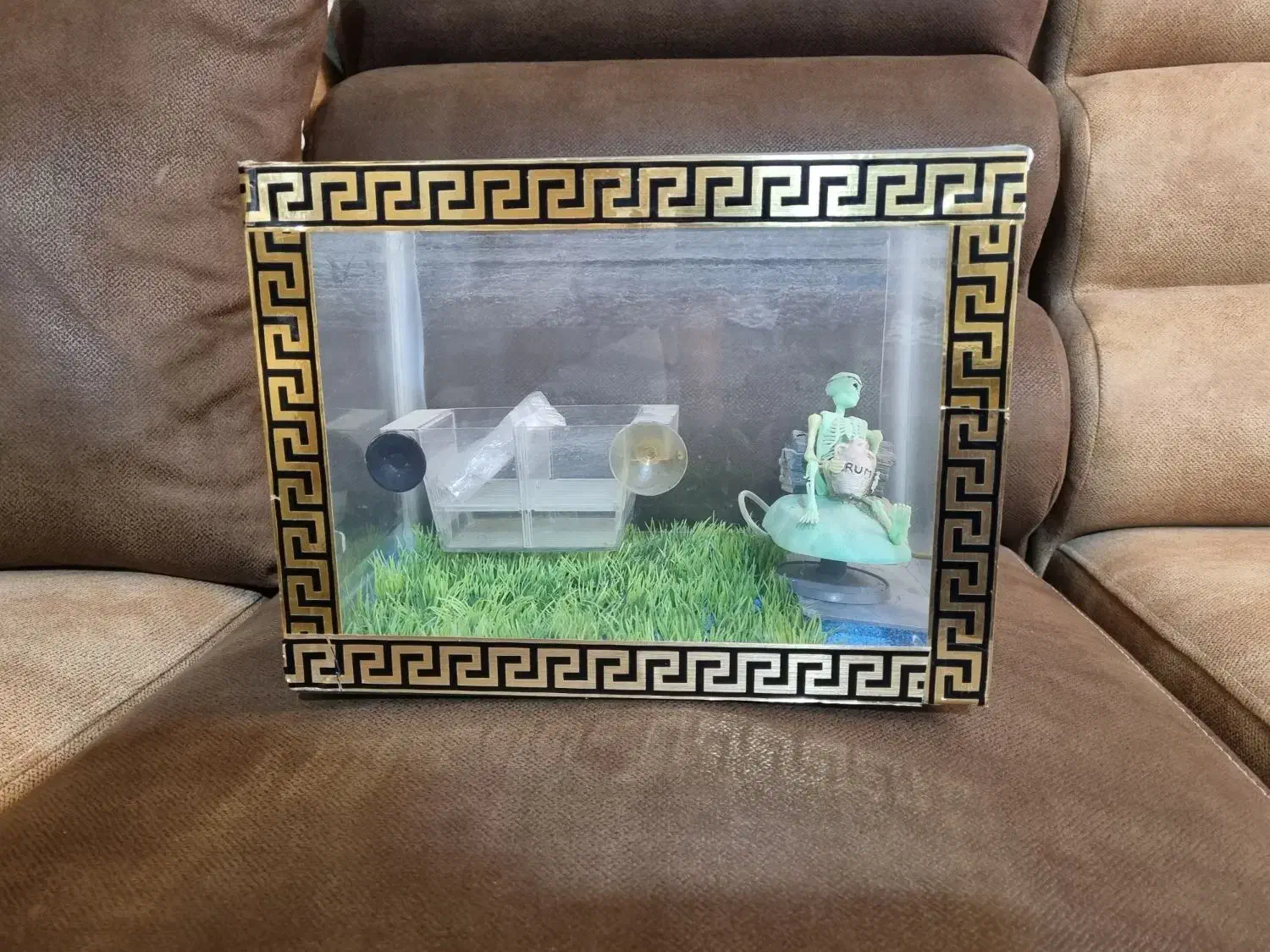 آکواریوم کوچیک رومیزی|ماهی|پرند, فاز ۲|دیوار