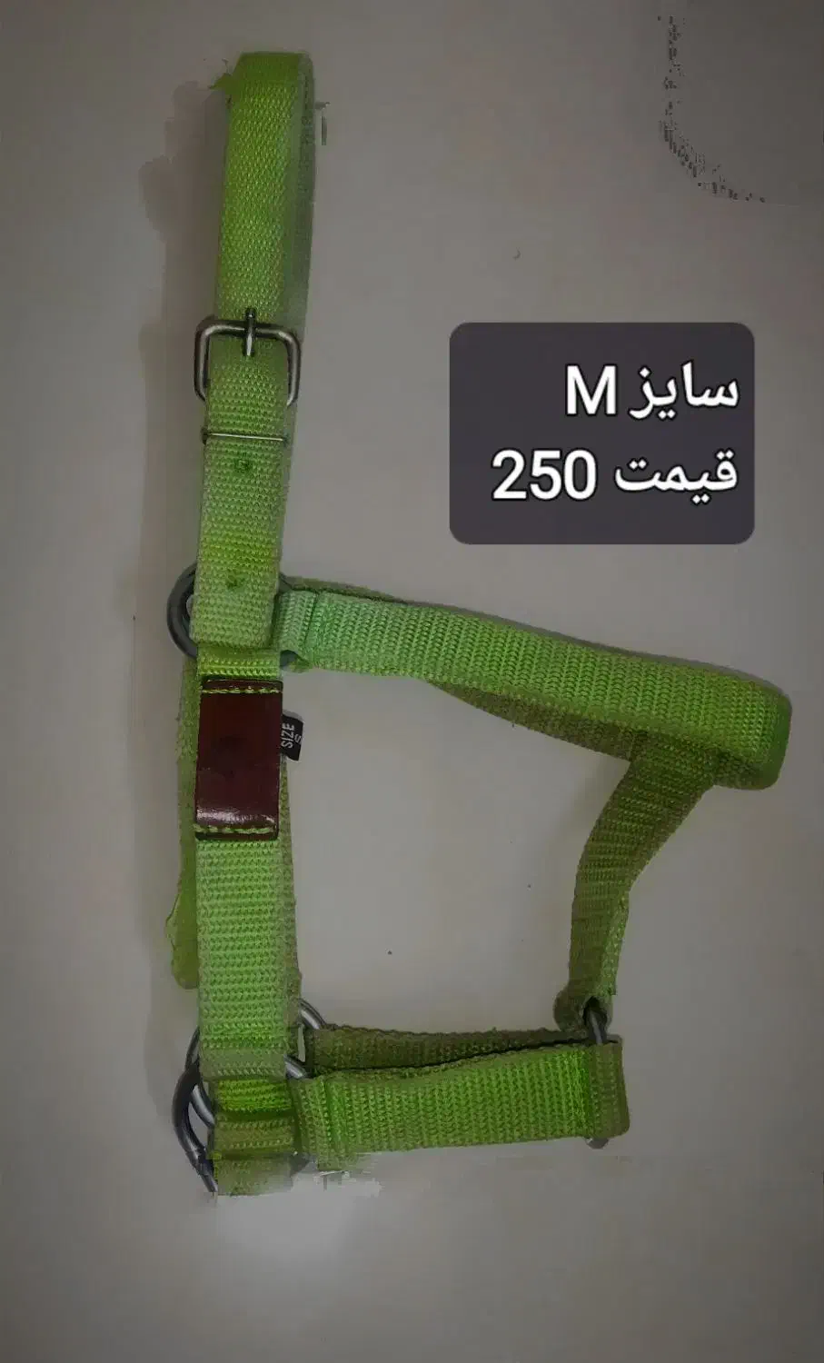 لوازم سوارکاری|اسب و تجهیزات اسب‌سواری|مشهد, شاهد (شهرک غرب)|دیوار