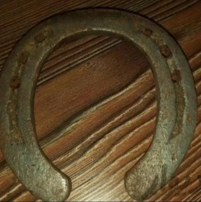 نعل کارکرده تضمینی|اسب و تجهیزات اسبسواری|مشهد, سازمان آب|دیوار