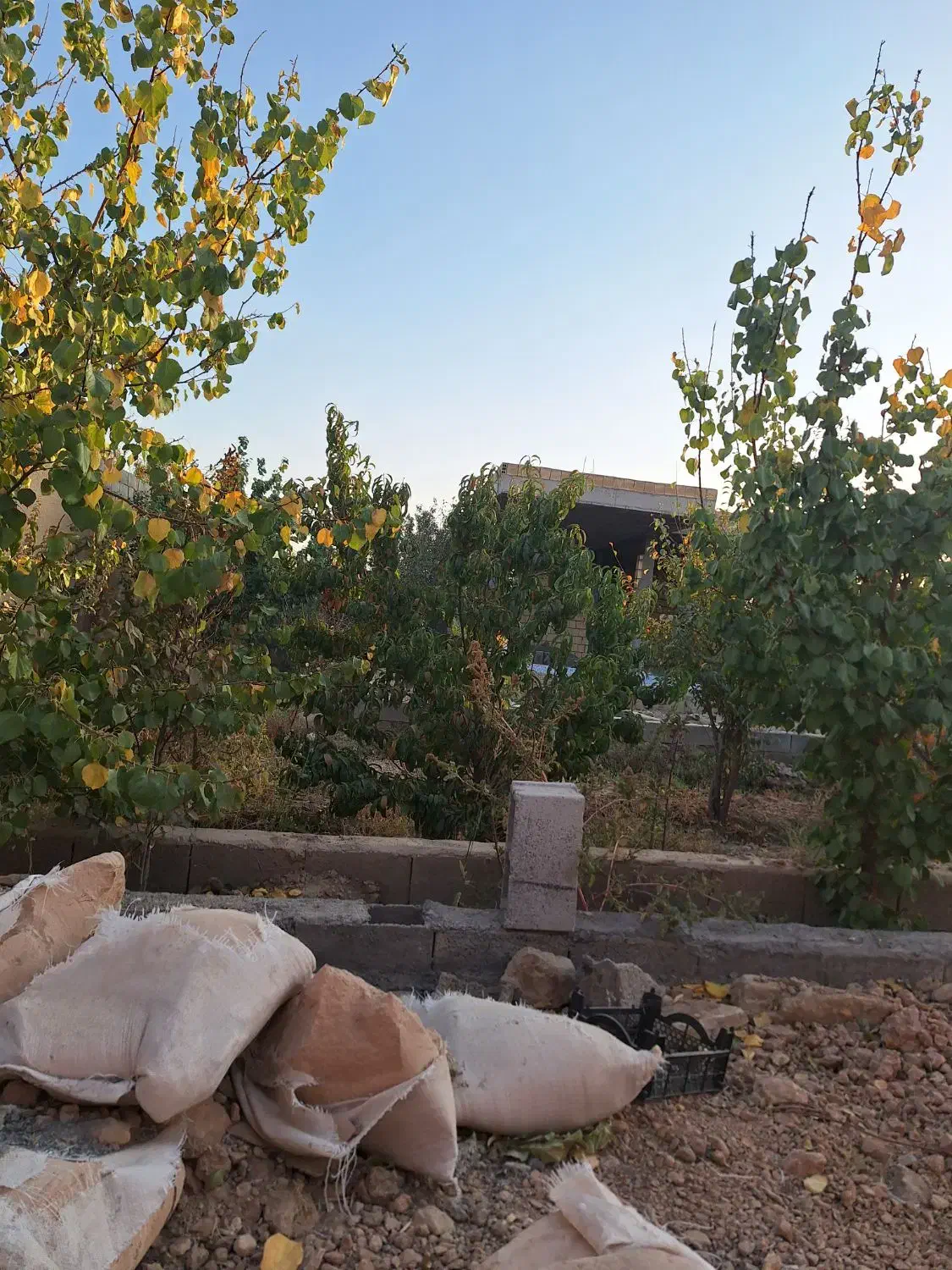 فروش باغ 550 متری|فروش خانه و ویلا|اصفهان, کارلادان|دیوار