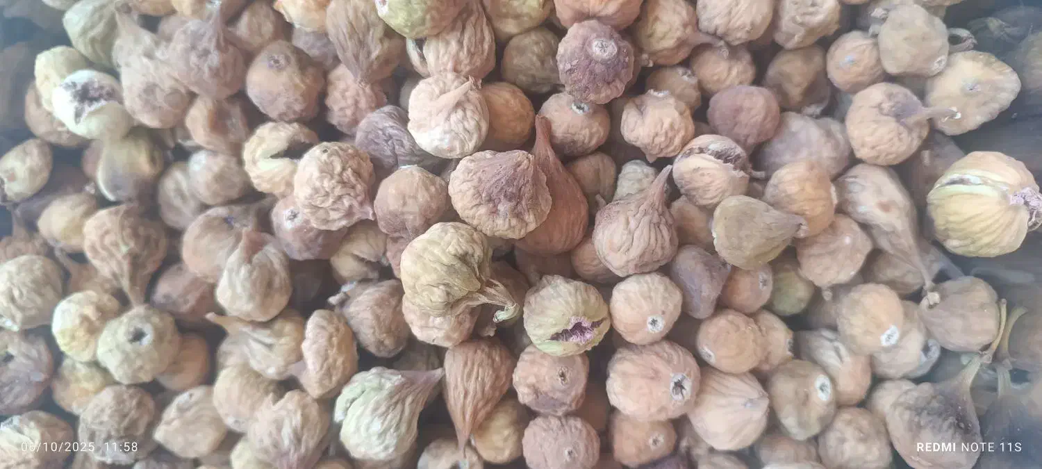 انجیر ومویز سیاه|خوردنی و آشامیدنی|شیراز, شهرک مدرس|دیوار