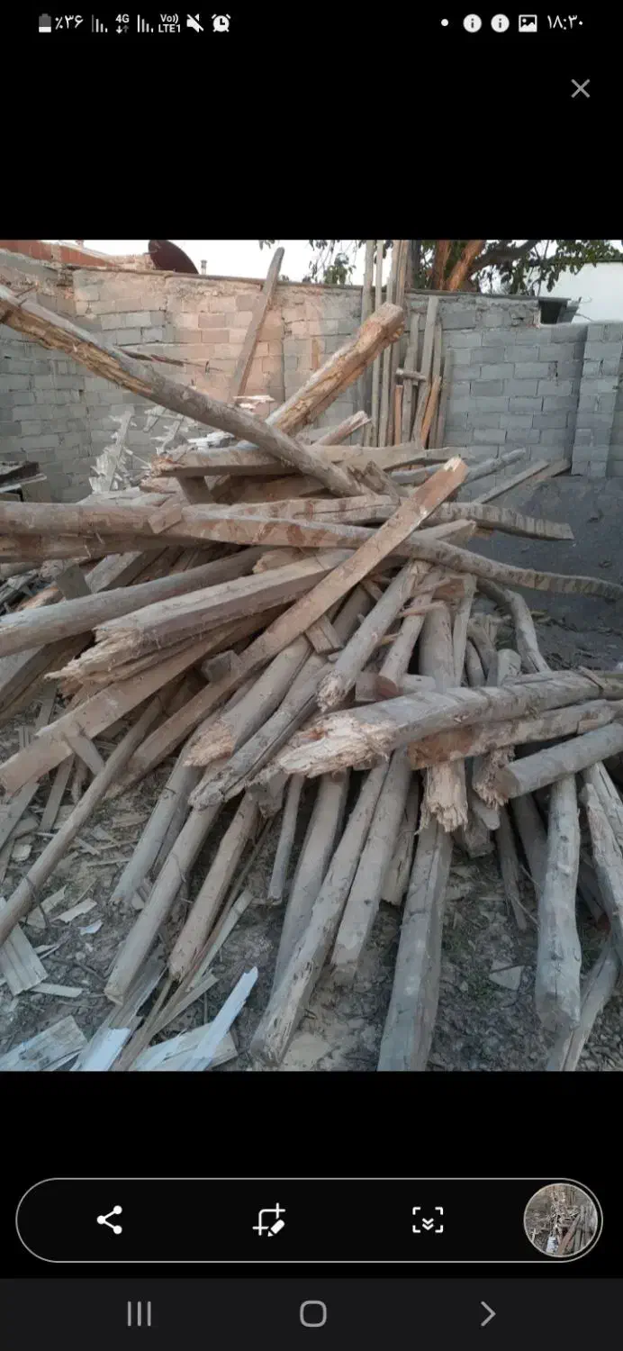 چوب ساختمانی و زغالی|مصالح و تجهیزات ساختمان|گرگان, |دیوار