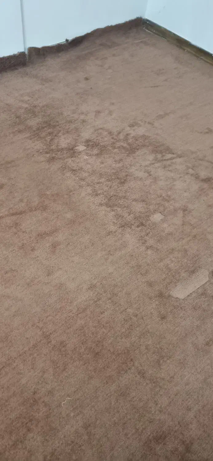 موکت|موکت|قم, زنبیل آباد|دیوار