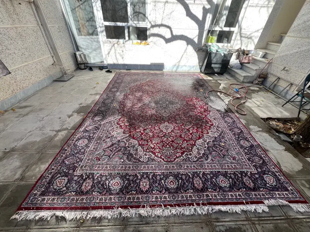 فرش 12متری|فرش|قیدار, |دیوار