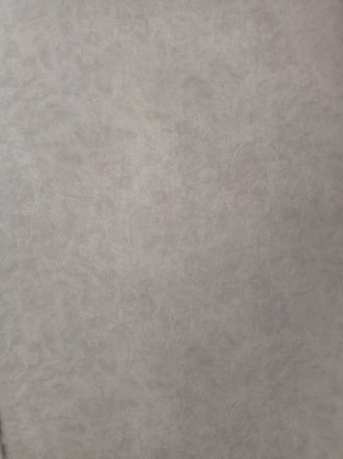 دان مرغ وکبوتر|لوازم جانبی حیوانات|کاشان, ولیعصر|دیوار