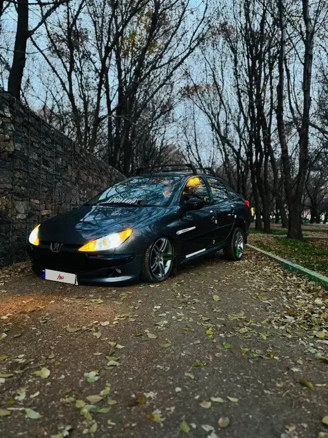 206v9یک کاپوت رنگ لوازمی|خودرو سواری و وانت|بوکان, |دیوار