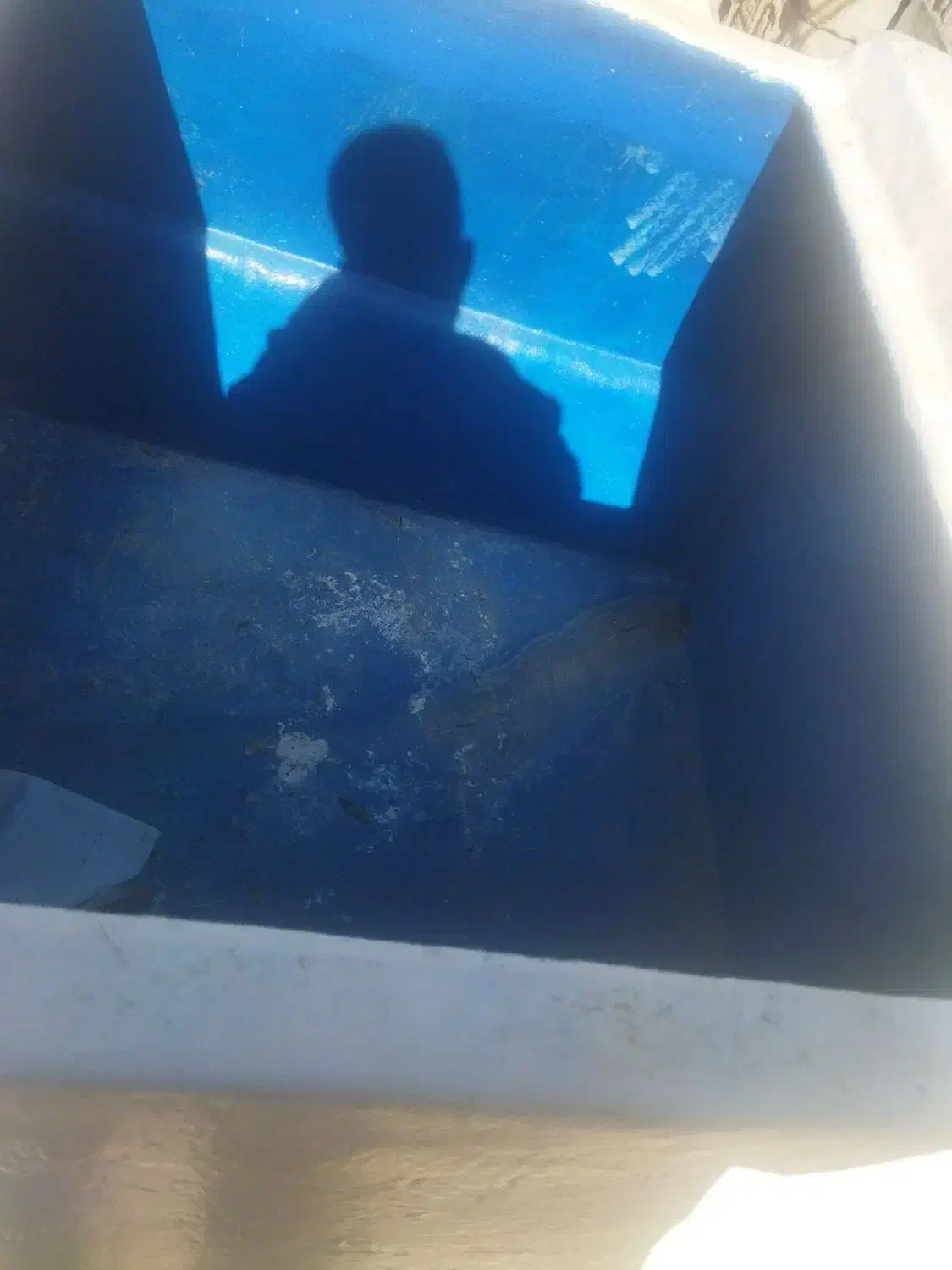 یخچال یا صندوق حمل ماهی و میگو|فروشگاه و مغازه|بندرعباس, |دیوار