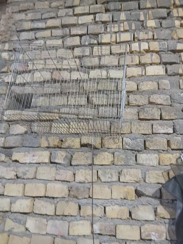 فروش قفس|لوازم جانبی حیوانات|یزد, |دیوار