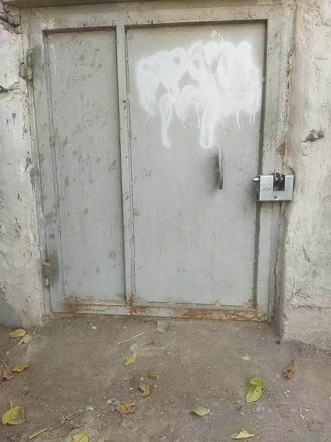 سلام در کوت کفتری|پرنده|میناب, |دیوار