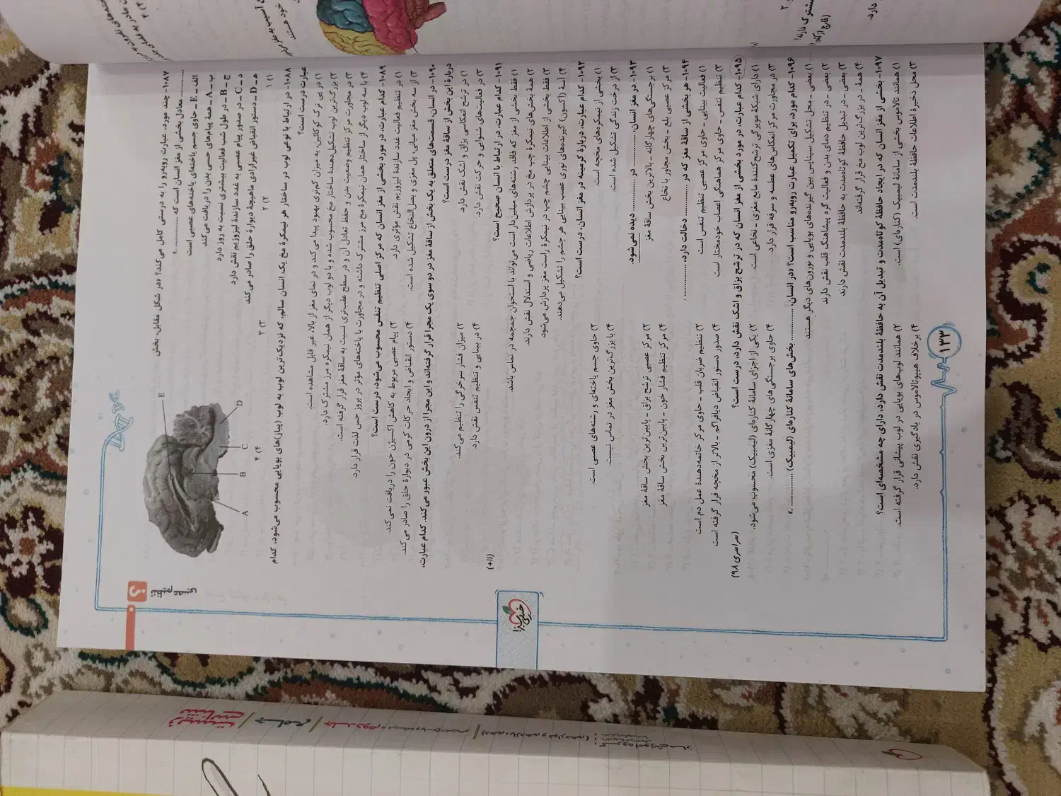 زیست پینوکیو ۱۴۰۱ و مسائل شیمی نشرالگو ۱۴۰۲|کتاب و مجله آموزشی|قم, بنیاد|دیوار