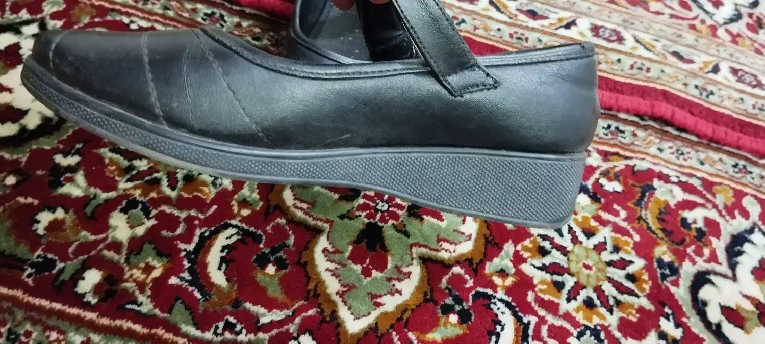 کفش زنانه|کیف، کفش، کمربند|نیشابور, هفده شهریور|دیوار