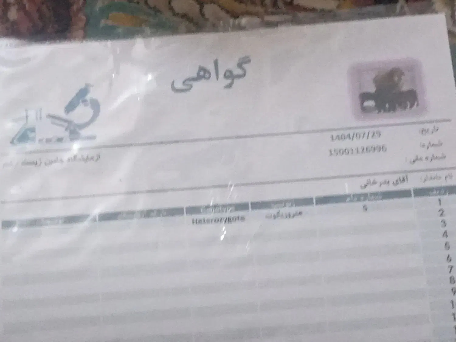 گوسفند|حیوانات مزرعه|قره پشتلو, |دیوار