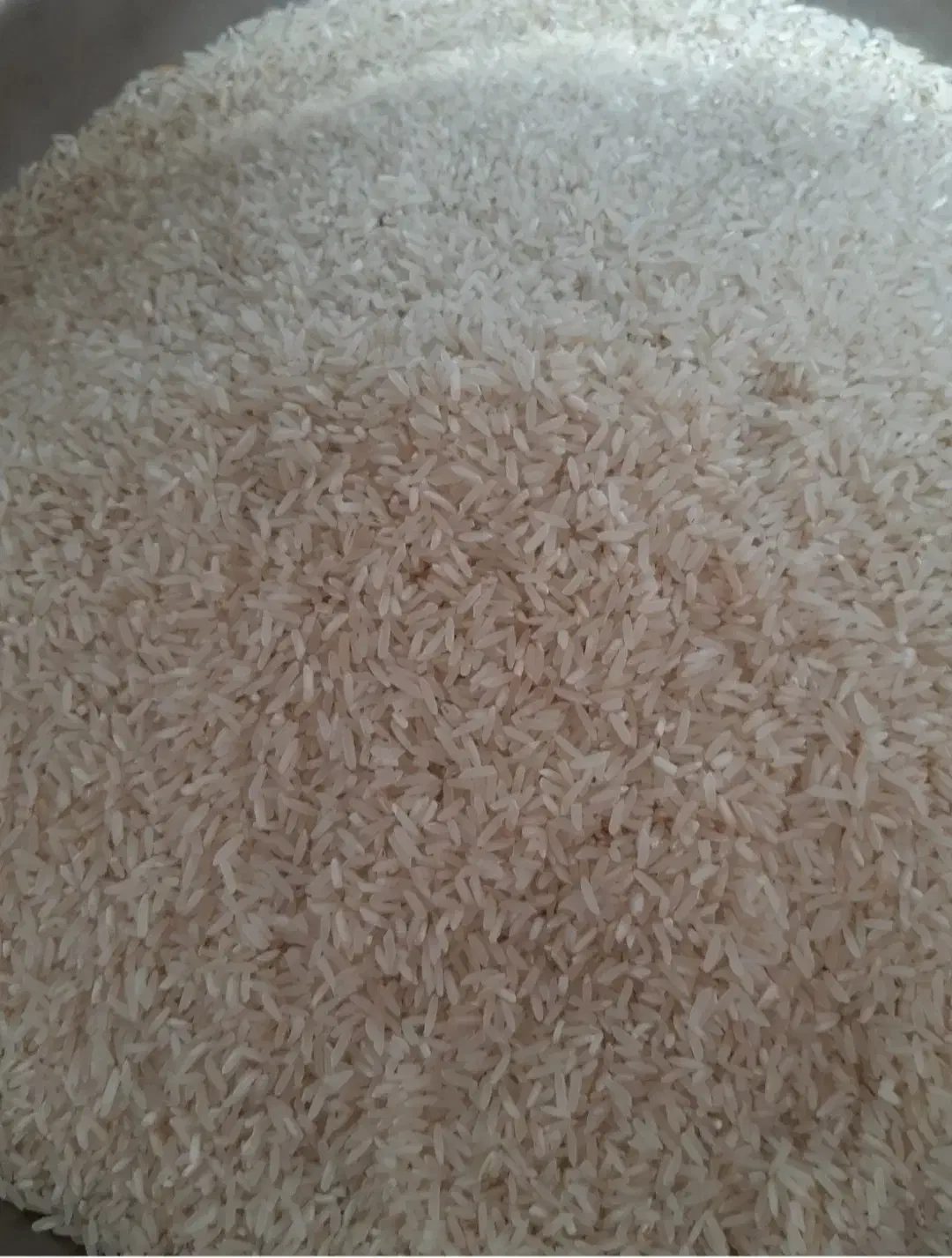 برنج طارم هاشمی|خوردنی و آشامیدنی|چمران, |دیوار