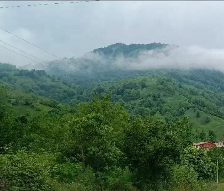 برقکش آدم حسابی برق کش برقکار|خدمات پیشه و مهارت|یزد, |دیوار