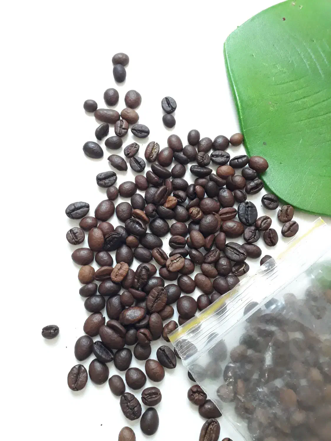 فروش کلی و جزئی قهوه با ارسال رایگان در گیلان|کافی‌شاپ و رستوران|رشت, بازار|دیوار