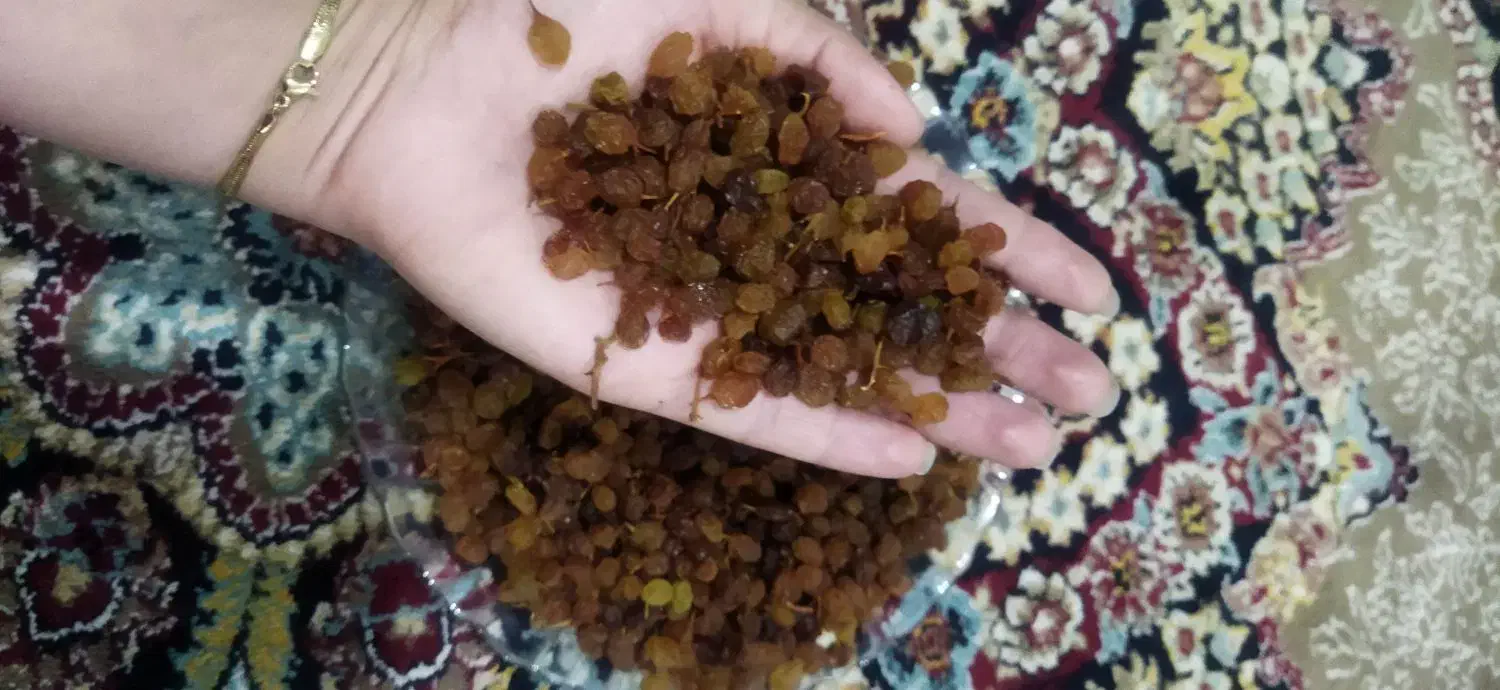 کشمش افتابی|خوردنی و آشامیدنی|بومهن, |دیوار