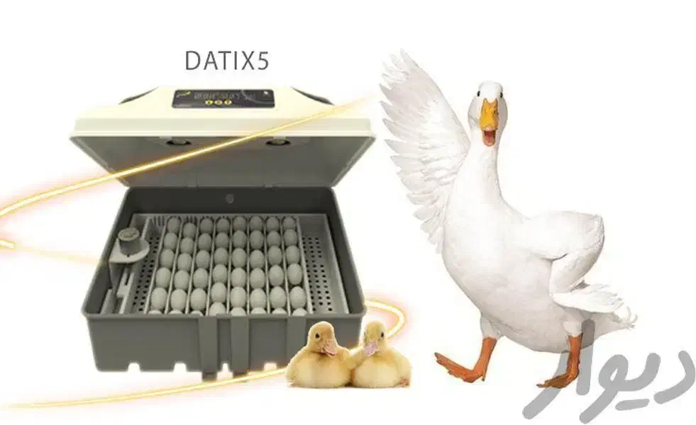 دستگاه جوجه کشی بلدرچین دماوند|لوازم جانبی حیوانات|گنبد کاووس, |دیوار