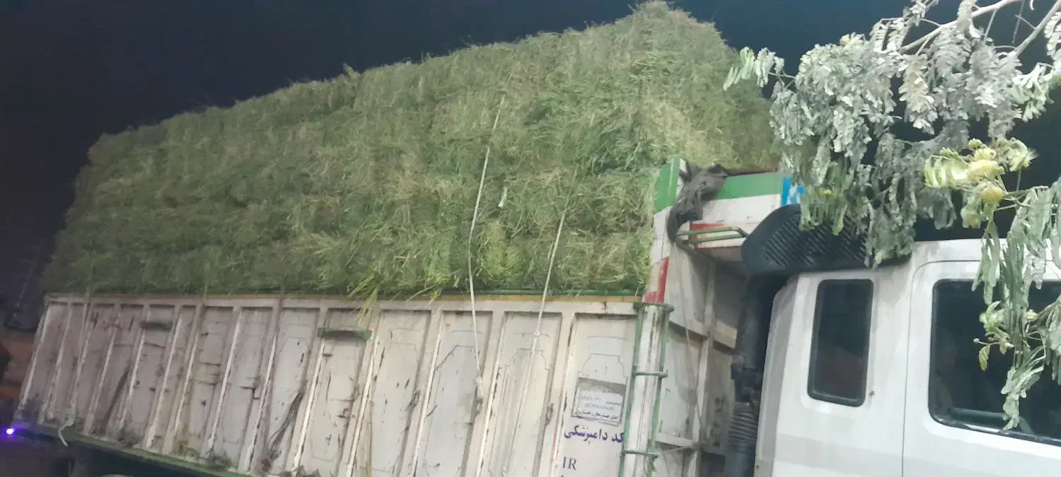 علوفه انباری|عمده‌فروشی|اصفهان, هزارجریب|دیوار