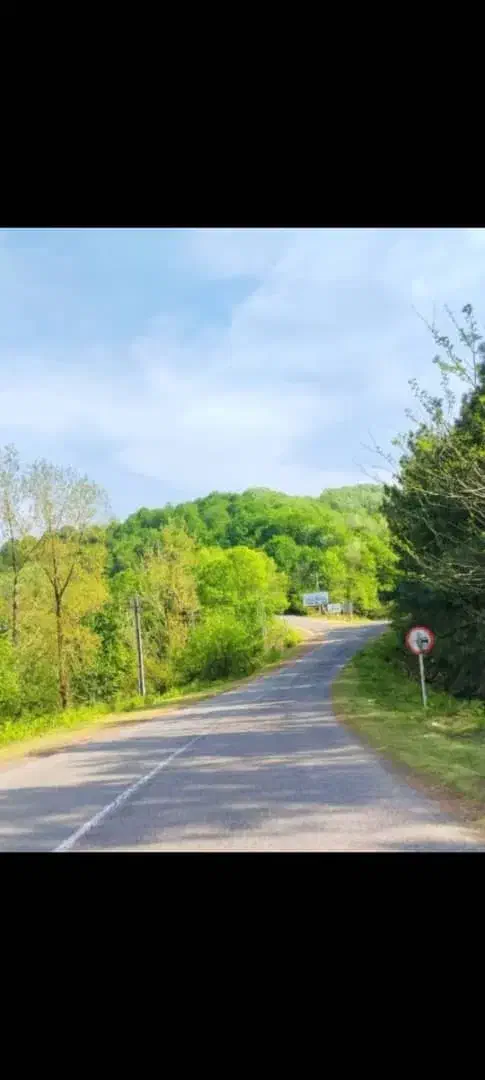 فروش زمین برا گردشگری با ۳۰میلیارد وام|فروش زمین و ملک کلنگی|شفت, |دیوار