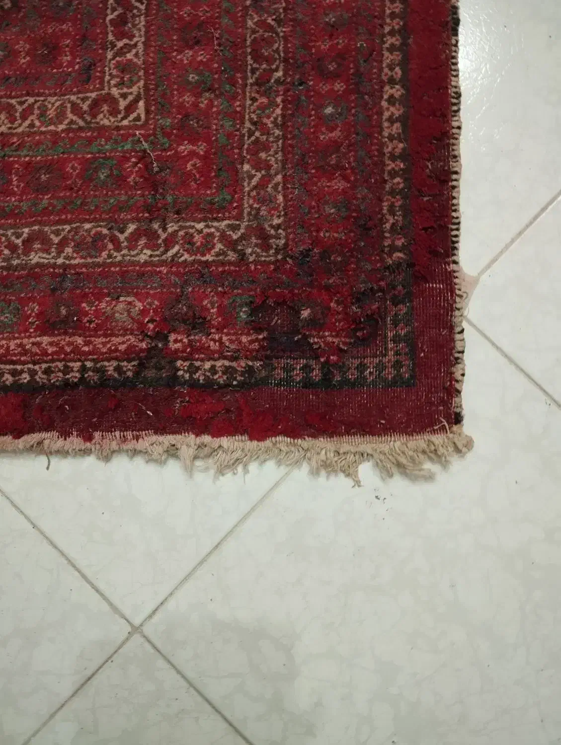 قالی دست بافت|فرش|مشهد, بهارستان|دیوار