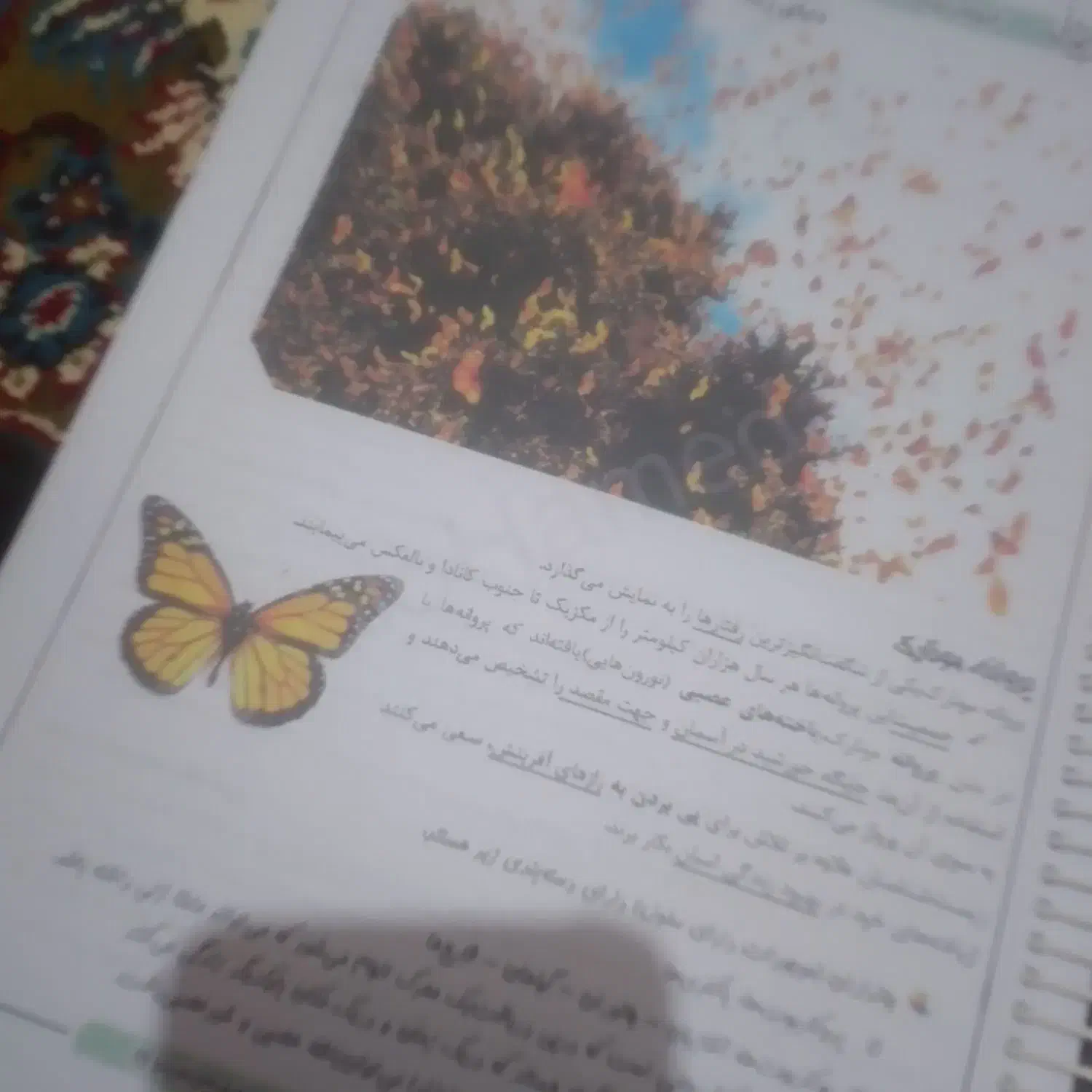 جزوه زیست شناسی رنگی|کتاب و مجله آموزشی|اردبیل, |دیوار